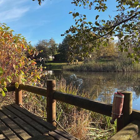 Angie'S Haven, Superb 2 Bedroom Lodge With Hot Tub - Sleeps 6 - Felmoor Park Morpeth Exteriér fotografie